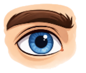 External photo of a healthy eye.